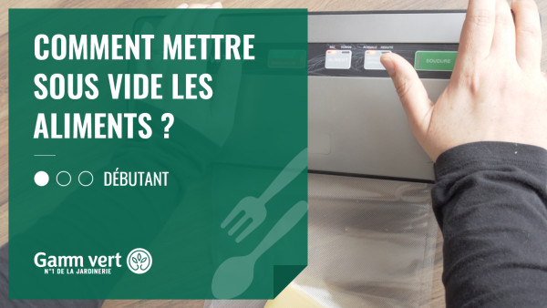 Congeler la Ratatouille  La Meilleure Stratégie pour Conserver Ce Plat Délicieux